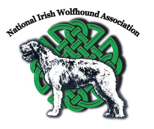 irish wolfhound therapy dog